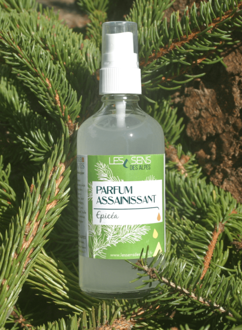 Parfum Assainissant Huile Essentielle Epicea dans des branches d'épicéa